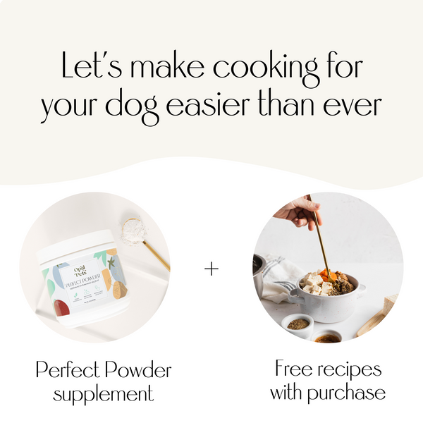 Homemade vegetarian dog online food recipe