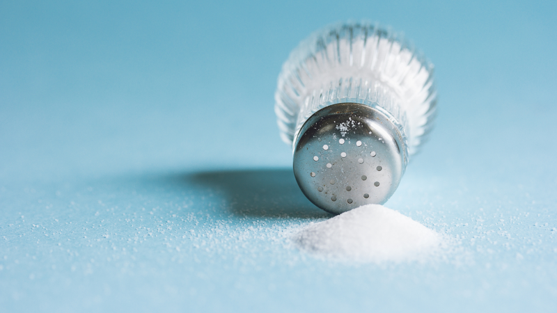 Salt in dog food best sale