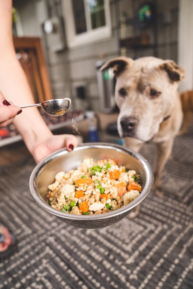 Opal Pets Cookbook: Vet Formulated Fresh Dog Food